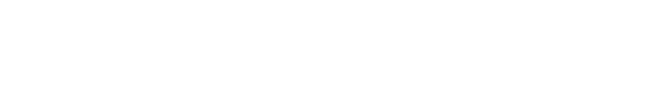 Camille Patti Legal Services